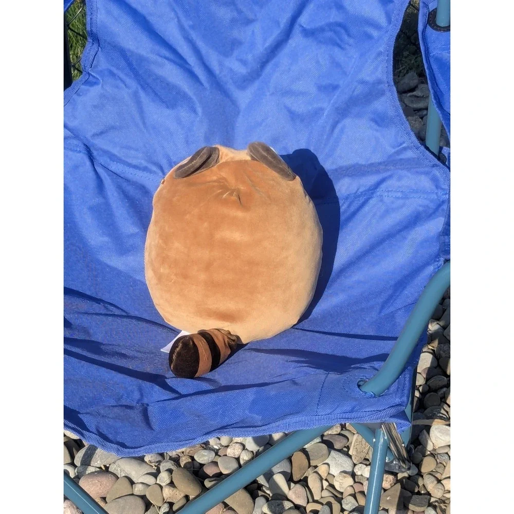Squishmallows Adopt Me Tanuki Pet 8